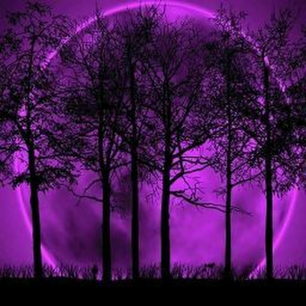 Meet your Posher, Maddie